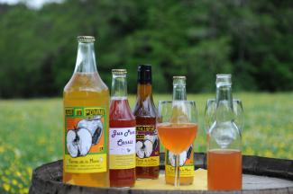 image 146a4a5f8683d8b9c5508d058ec1d403efbb8b95.jpg