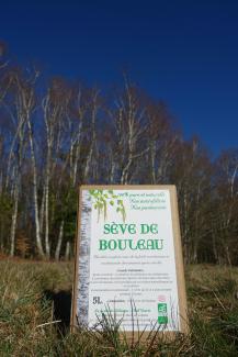 image 1b0a7a12b3b502a7780c1000a8d53ee1700974c8.jpg