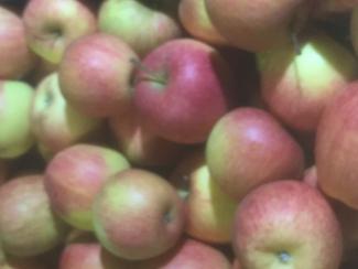 image 25a516f8174b08dca9b5f99c51503d06b2e33150.jpg