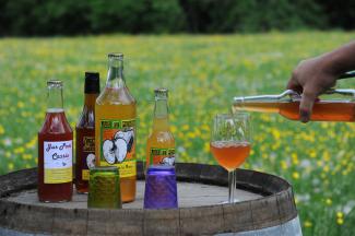 image 71daded8e6902cec168cbec9606b106e99d81ad7.jpg