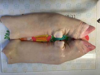 image 8150a3fdecd3349cba74d82d6d718b0f18161f6d.jpg