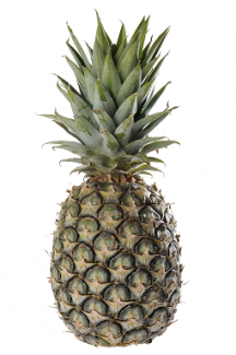 image bb66e6a70669ed43712583d736b4339e73f89230.png