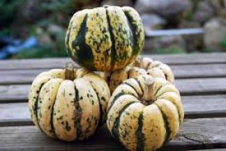 image ff8a4f9755325817e43c8c110953ce08e5716b24.jpg