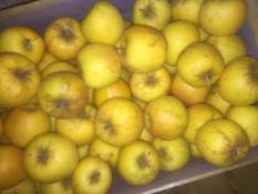 image 3f16f76bdea17587130e6530e4ad7452b1584823.jpg