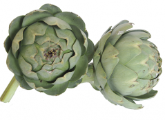 image 54d93c5cbbc83b5e148f9643d35afe3587ba5220.png