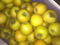 image 59fc8f1b4afc5fe2635f615db7f7aeb9dc15f0bb.jpg