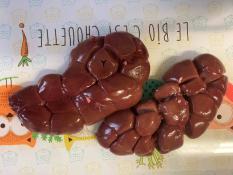 image 6d91707617cffd8a2939b8b41d80ad92baba061e.jpg