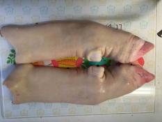 image 8150a3fdecd3349cba74d82d6d718b0f18161f6d.jpg