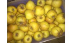 image 5c41df5128c6e6006f2cf30d646f64ab9e29fce2.jpg